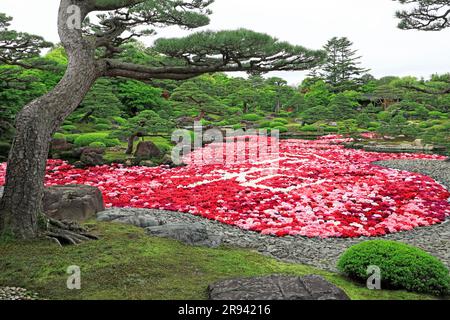 Fleurs bouton flottantes dans l'étang à Yushien Banque D'Images
