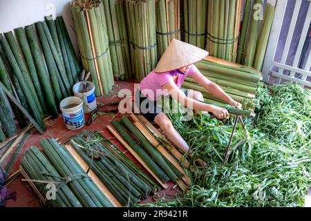 Une femme rasse le tronc d'un bambou et puis le bambou est coupé en petits bâtons pour préparer la fabrication de bâtons d'encens dans le village d'Ung Hoa, Hanoi Banque D'Images