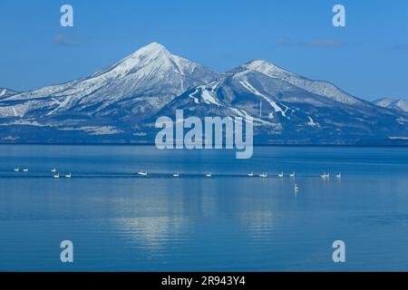 Swans et Bandai Mountain dans le lac d'Inawashiro Banque D'Images