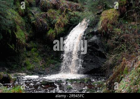 Un gros plan de la cascade de Hindhope Linn dans la forêt de Kielder au Royaume-Uni Banque D'Images