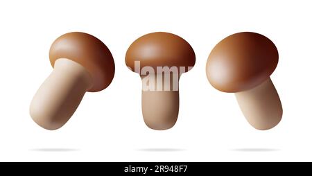 3D champignons mûrs Champignon sous différents angles Illustration de Vecteur