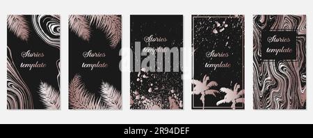 Ensemble de modèles de cadre d'histoires avec feuilles de palmier or rose. Modèles d'articles, illustration vectorielle. Créez des arrière-plans pour l'histoire des médias sociaux. D Illustration de Vecteur