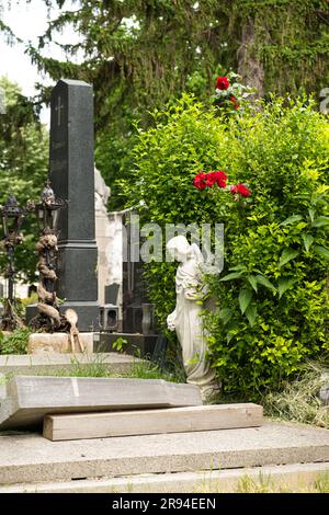 04 juin 2023, Autriche, Vienne. Tombes, statues et cryptes dans le cimetière central. Banque D'Images