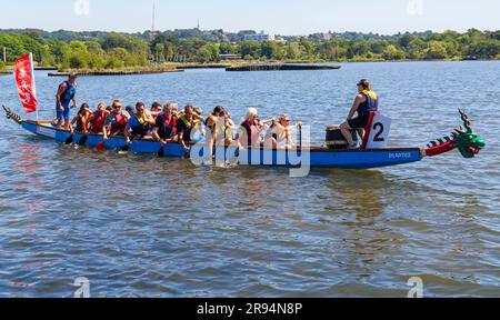 Poole, Dorset, Royaume-Uni. 24th juin 2023. Les foules se détournent pour soutenir la course de bateau-dragon de Poole sur le lac de navigation à Poole Park lors d'une journée chaude et ensoleillée. Crédit : Carolyn Jenkins/Alay Live News Banque D'Images