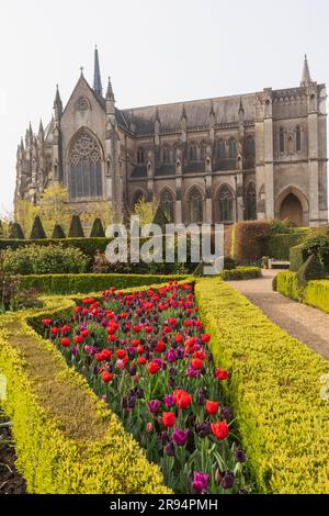 Angleterre, Sussex, West Sussex, Arundel, Château d'Arundel, Jardins du château d'Arundel et cathédrale d'Arundel Banque D'Images
