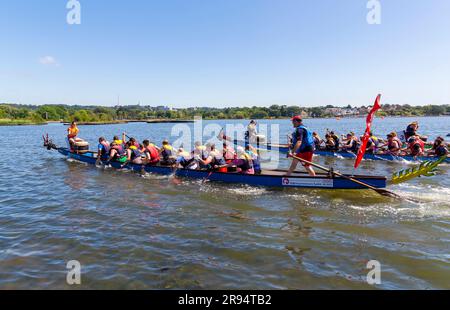 Poole, Dorset, Royaume-Uni. 24 juin 2023. Les foules viennent soutenir la course de bateaux-dragons de Poole, course de bateaux-dragons de Poole, sur le lac de plaisance à Poole Park par une chaude journée ensoleillée. Crédit : Carolyn Jenkins/Alamy Live News Banque D'Images