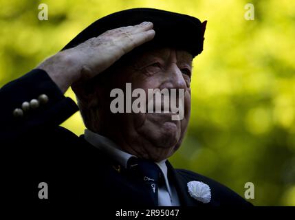 LA HAYE - Un vétéran lors de la cérémonie de remise des médailles au Lange Voorhout. Cet hommage rend hommage à plus de 100 000 anciens combattants néerlandais qui ont travaillé pour la paix depuis la Seconde Guerre mondiale. ANP KOEN VAN WEEL pays-bas hors - belgique hors Banque D'Images