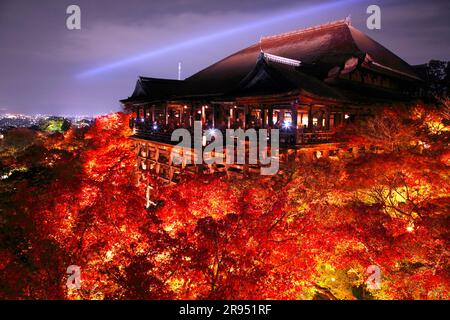 Illumination du temple de Kiyomizudera Banque D'Images