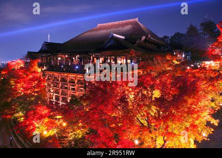 Illumination du temple de Kiyomizudera Banque D'Images