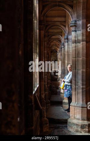 Femme regardant les cloîtres de Chester Cathedral, Chester, Royaume-Uni. Banque D'Images