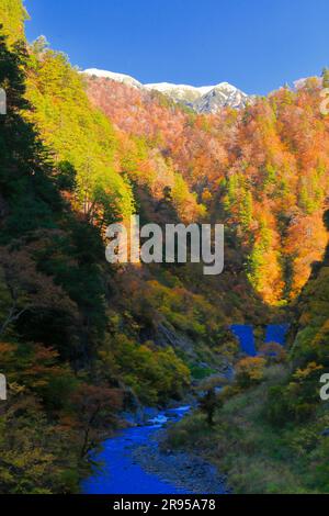 Gorge de Kurobe dans les feuilles d'automne Banque D'Images