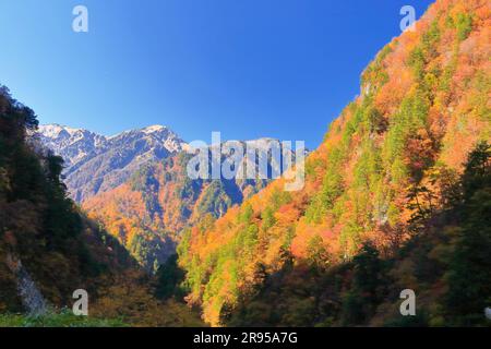 Gorge de Kurobe dans les feuilles d'automne Banque D'Images