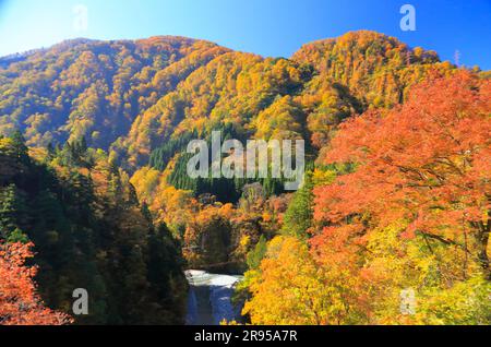 Gorge de Kurobe dans les feuilles d'automne Banque D'Images