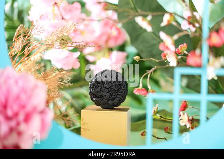 Black Mooncake Kue Bulan pour le festival chinois des autumns moyens Banque D'Images