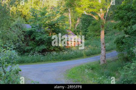 Paysage avec différents types d'arbres à feuilles caduques et une ancienne grange de foin effondrée Banque D'Images