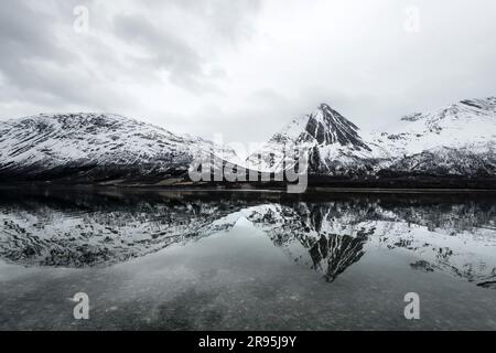 Balsfjord, Nordkjosbotn Norwegen Banque D'Images