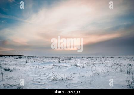 Un paysage d'hiver pittoresque est exposé, avec une vallée couverte de neige et éclairée par la lumière douce du matin Banque D'Images