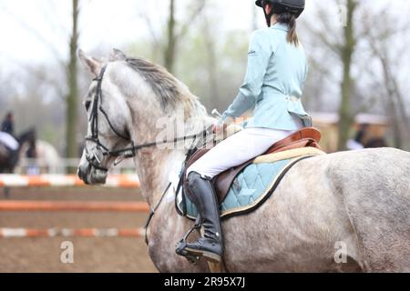 Sur un cheval de cavalier de spectacle dans la selle se trouve un cavalier avec une rosette du gagnant dans les compétitions équestres pendant l'événement des gagnants. Sports équestres Banque D'Images