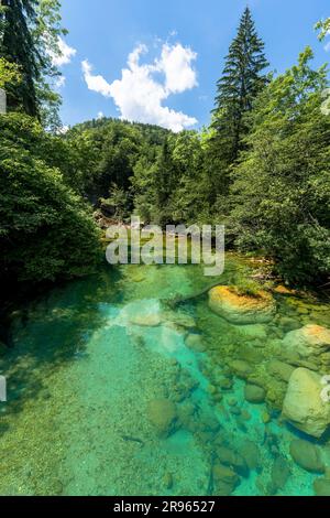 Gorge de Vintgar : l'embrasser de la nature. La rivière turquoise reflète la lumière du soleil. Jeu de lumière et de couleur captivant. Arbres imposants, ciel bleu. Banque D'Images