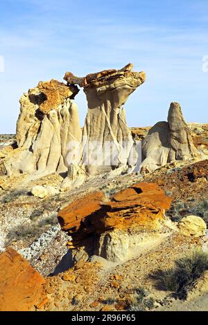 Arch avec le bois pétrifié, De-Na-Zin Wilderness, San Juan Basin, New Mexico, USA Banque D'Images