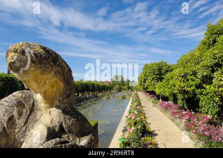 Étang dans le jardin, Alcazar de los Reyes Cristianos, Cordoue, Andalousie, Espagne Banque D'Images