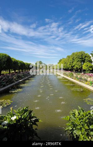 Étang dans les Jardins, Alcazar de los Reyes Cristianos, Cordoue, Andalousie, Espagne Banque D'Images