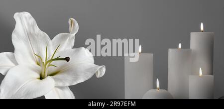 Funérailles. Nénuphar blanc et bougies allumées sur fond gris, motif bannière Banque D'Images