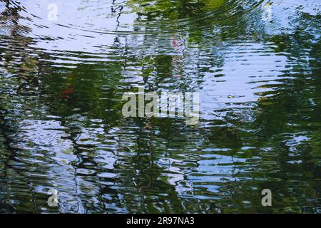 La scène tranquille de l'étang est astucieusement capturée par l'eau scintillante qui reflète à la fois le ciel et l'ombre des arbres. Banque D'Images