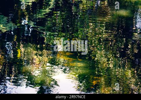 La scène tranquille de l'étang est astucieusement capturée par l'eau scintillante qui reflète à la fois le ciel et l'ombre des arbres. Banque D'Images