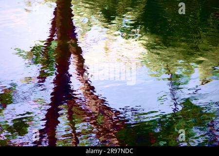 La scène tranquille de l'étang est astucieusement capturée par l'eau scintillante qui reflète à la fois le ciel et l'ombre des arbres. Banque D'Images