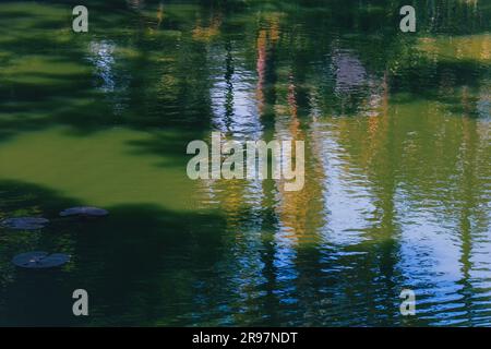 La scène tranquille de l'étang est astucieusement capturée par l'eau scintillante qui reflète à la fois le ciel et l'ombre des arbres. Banque D'Images