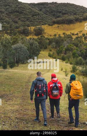 Bits and Bobs of Australia Banque D'Images