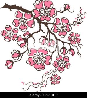 Fleur de cerisier, Sakura. Branche avec fleurs. Clipart vectoriel tracé à la main isolée sur blanc. Illustration de Vecteur