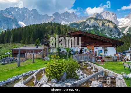 Wochenbrunner Alm à Ellmau Autriche 27.05.2023 Banque D'Images