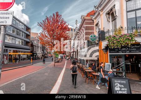 Leiden, pays-Bas - 7 octobre 2021 : vue sur la rue et architecture générique à Leiden, ville et municipalité de la province de la Hollande-Méridionale, le N Banque D'Images