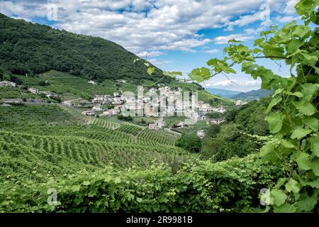 Vue de Santo Stefano et Valdobbiadene Prosecco et de Cartizze D.O.C.G. Supérieur Winery Hills Banque D'Images