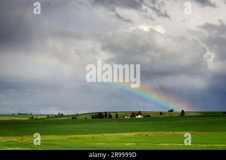 Rainbow au-dessus d'une petite ferme près de Cottonwood, Idaho, États-Unis Banque D'Images