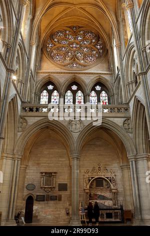 Fenêtre rose dans la cathédrale de Truro, l'une des trois en exposition dans la cathédrale. Banque D'Images