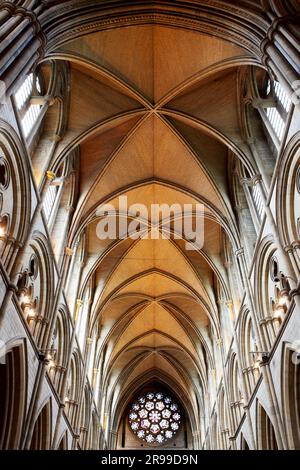 Représentations sublimés du plafond voûté et de la fenêtre rose de la cathédrale de Truro. Banque D'Images