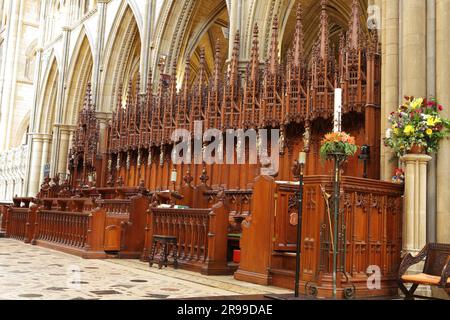Une représentation très détaillée des étals du Choir de Truro, magnifiquement sculptés et ornayement. Banque D'Images