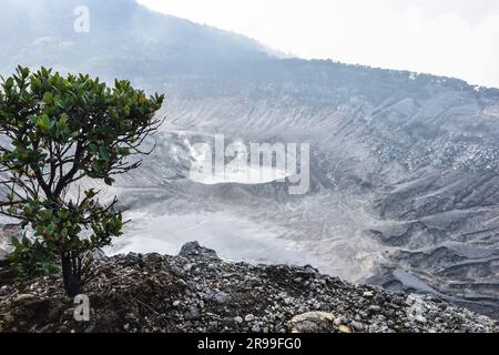 Bandung, Indonésie. 25th juin 2023. Vue sur le volcan Tangkuban Parahu, dans la Régence de Bandung, Java-Ouest, Indonésie sur 25 juin 2023. L'un des volcans de Java Ouest, le mont Tangkuban Perahu attire l'intérêt des touristes locaux et étrangers pendant les week-ends. (Photo par Dimas Rachmatsyah/INA photo Agency/Sipa USA) crédit: SIPA USA/Alay Live News Banque D'Images