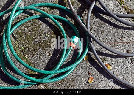 Tuyaux en caoutchouc de jardin au sol Banque D'Images