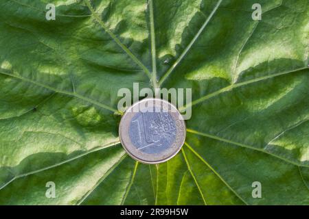 Une pièce d'euro repose sur une feuille verte. Investissement vert et bénéfices verts, investissement dans les technologies vertes promet un succès rentable. Banque D'Images