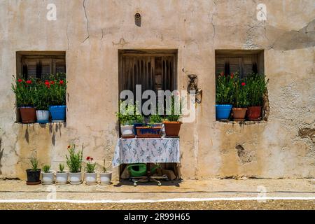 Ce cottage grec traditionnel coloré se trouve à Apollonas, un village de pêcheurs de Naxos, en Grèce. Affichage des fleurs. Décoratif. Illustration. Banque D'Images