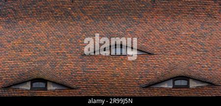 Triple fenêtre de dormeur de sourcil sur le toit d'une maison baroque à Gorlitz système de ventilation pour les greniers des maisons Banque D'Images