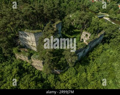 Vue aérienne du château de Frejstejn, ruine du château médiéval gothique concentrique au-dessus de la rivière Dyji ou Thaya en Tchéquie Banque D'Images