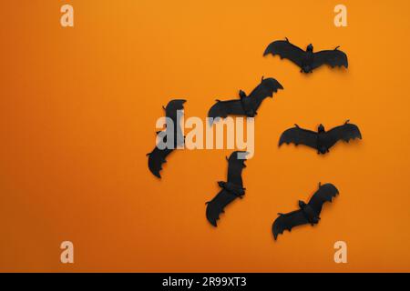 Beaucoup de chauves-souris noires volent sur un fond orange. Banque D'Images