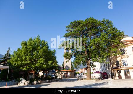 Bansko, Bulgarie - 30 juin 2022 : ville de Bansko. Grands arbres verts dans le centre de la ville avec le ciel bleu. Banque D'Images