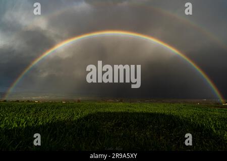Un paysage à couper le souffle avec deux arcs-en-ciel multicolores éclatants sur fond de nuages blancs qui s'affichent sur un terrain verdoyant et verdoyant Banque D'Images
