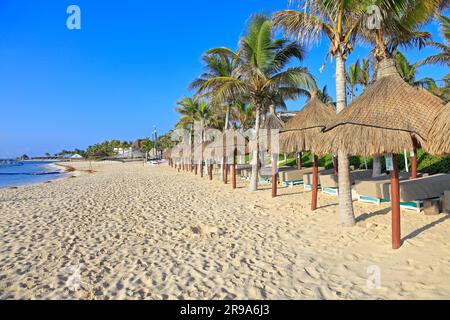 Le soleil se couche sous les feuilles de palmier séchées soleil se pare sur la plage de Riviera Maya près d'Akumal sur le sentier Akumal, Quintana Roo, Yucatan Peninsular, Mexique. Banque D'Images